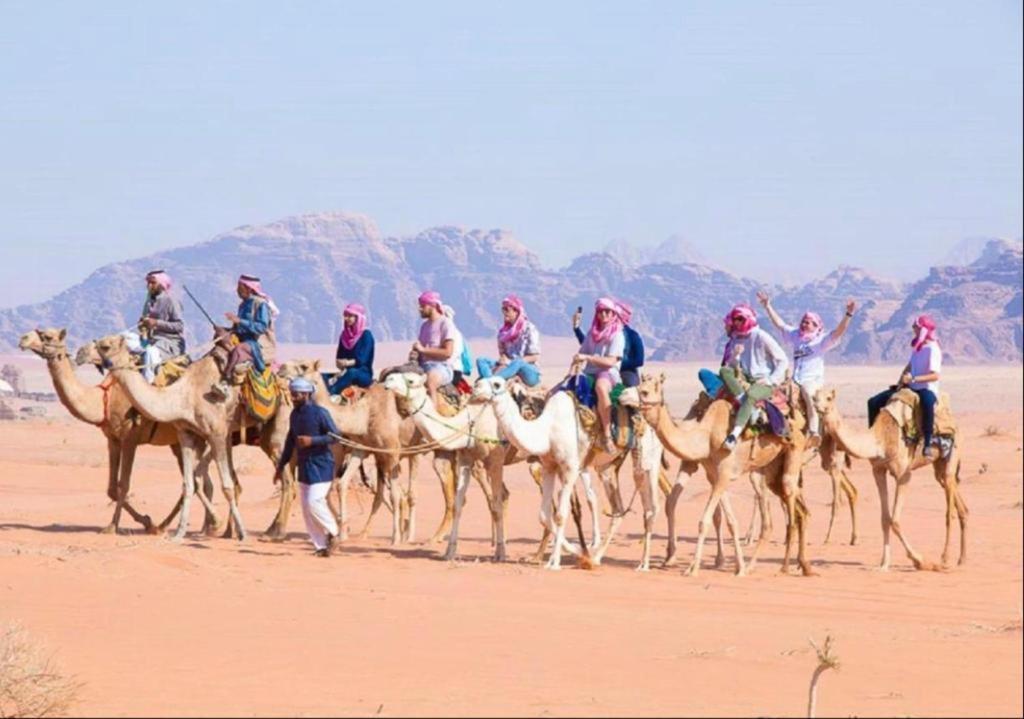 Hotel Bedouin Adventure & Tours Wadi Rum Esterno foto